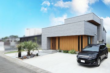 Natural modern